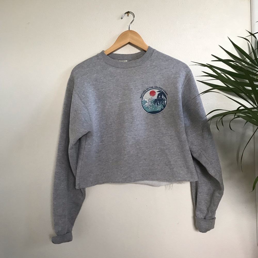 Pacsun cropped hoodie